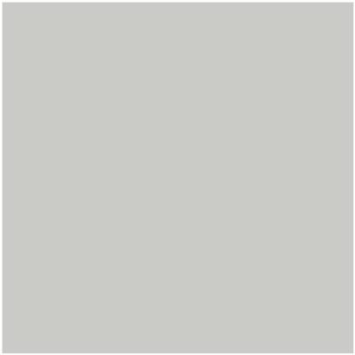HC-170: Stonington Gray  a paint color by Benjamin Moore avaiable at Clement's Paint in Austin, TX.