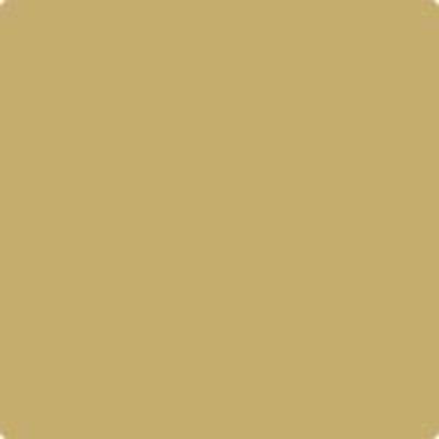 HC-14: Princeton Gold  a paint color by Benjamin Moore avaiable at Clement's Paint in Austin, TX.