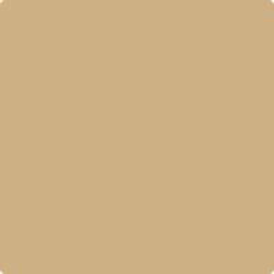 HC-34: Wilmingtong Tan  a paint color by Benjamin Moore avaiable at Clement's Paint in Austin, TX.
