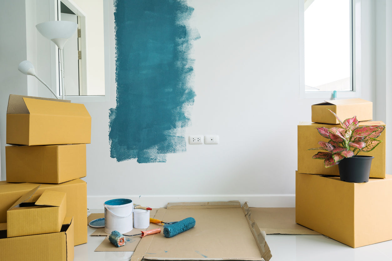 Why Choose Clement's Paint