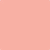 3-Pink: Paradise  a paint color by Benjamin Moore avaiable at Clement's Paint in Austin, TX.