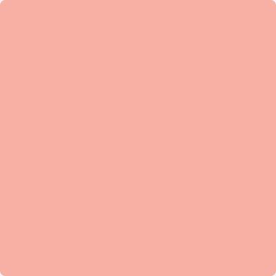 3-Pink: Paradise  a paint color by Benjamin Moore avaiable at Clement's Paint in Austin, TX.