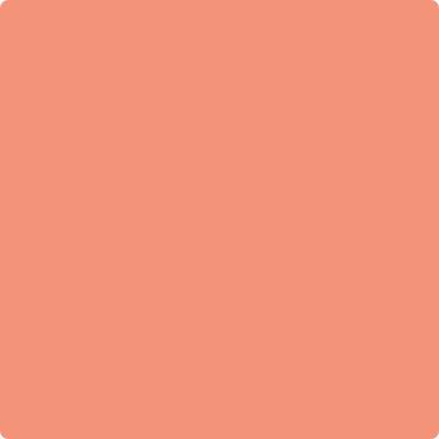19-Salmon: Run  a paint color by Benjamin Moore avaiable at Clement's Paint in Austin, TX.