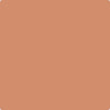 55-Pumpkin: Patch  a paint color by Benjamin Moore avaiable at Clement's Paint in Austin, TX.