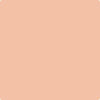 60-Fresh: Peach  a paint color by Benjamin Moore avaiable at Clement's Paint in Austin, TX.