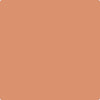 62-Vegetable: Patch  a paint color by Benjamin Moore avaiable at Clement's Paint in Austin, TX.