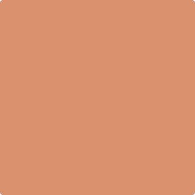 62-Vegetable: Patch  a paint color by Benjamin Moore avaiable at Clement's Paint in Austin, TX.