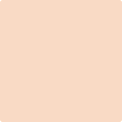 65-Rosebud:  a paint color by Benjamin Moore avaiable at Clement's Paint in Austin, TX.