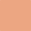 68-Succulent: Peach  a paint color by Benjamin Moore avaiable at Clement's Paint in Austin, TX.