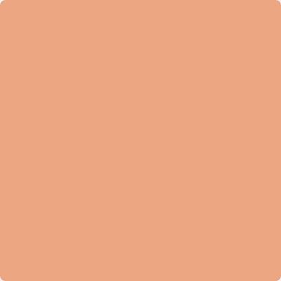 68-Succulent: Peach  a paint color by Benjamin Moore avaiable at Clement's Paint in Austin, TX.