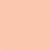 72-Sanibal: Peach  a paint color by Benjamin Moore avaiable at Clement's Paint in Austin, TX.