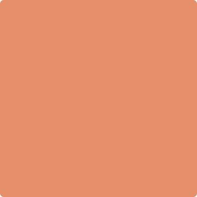 75-Flamingo: Orange  a paint color by Benjamin Moore avaiable at Clement's Paint in Austin, TX.