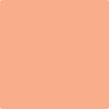 81-Intense: Peach  a paint color by Benjamin Moore avaiable at Clement's Paint in Austin, TX.