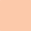 88-Summer: Peach  a paint color by Benjamin Moore avaiable at Clement's Paint in Austin, TX.