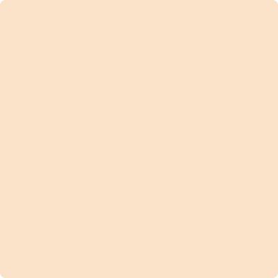 93-Winter: Melon  a paint color by Benjamin Moore avaiable at Clement's Paint in Austin, TX.