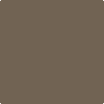 1000-Northwood: Brown  a paint color by Benjamin Moore avaiable at Clement's Paint in Austin, TX.