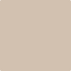 1025-Chocolate: Mousse  a paint color by Benjamin Moore avaiable at Clement's Paint in Austin, TX.