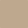 1033-Hillsborough: Beige  a paint color by Benjamin Moore avaiable at Clement's Paint in Austin, TX.