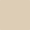 1038-Everlasting:  a paint color by Benjamin Moore avaiable at Clement's Paint in Austin, TX.