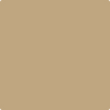 1040-Spice: Gold  a paint color by Benjamin Moore avaiable at Clement's Paint in Austin, TX.