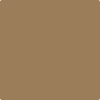 1042-Caramel: Apple  a paint color by Benjamin Moore avaiable at Clement's Paint in Austin, TX.