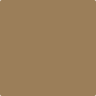 1042-Caramel: Apple  a paint color by Benjamin Moore avaiable at Clement's Paint in Austin, TX.