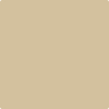 1046-Sandy: Brown  a paint color by Benjamin Moore avaiable at Clement's Paint in Austin, TX.