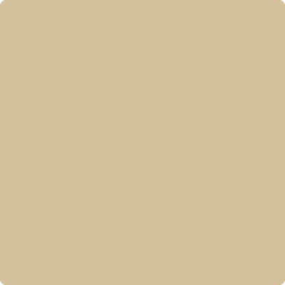 1046-Sandy: Brown  a paint color by Benjamin Moore avaiable at Clement's Paint in Austin, TX.