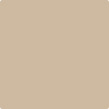 1053-Sierra: Hills  a paint color by Benjamin Moore avaiable at Clement's Paint in Austin, TX.