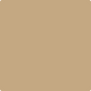1061-Brunswick: Beige  a paint color by Benjamin Moore avaiable at Clement's Paint in Austin, TX.