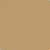 1062-Baked: Cumin  a paint color by Benjamin Moore avaiable at Clement's Paint in Austin, TX.