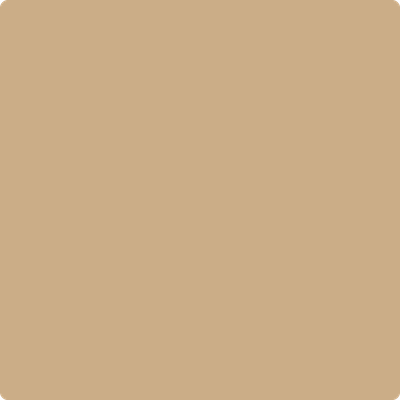 1069-Twilight: Gold  a paint color by Benjamin Moore avaiable at Clement's Paint in Austin, TX.