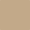1076-Capilano: Bridge  a paint color by Benjamin Moore avaiable at Clement's Paint in Austin, TX.