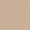 1082-Cream: Soda  a paint color by Benjamin Moore avaiable at Clement's Paint in Austin, TX.