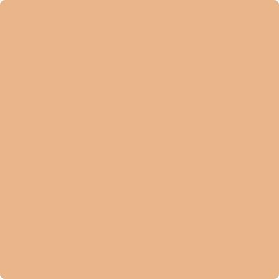 109-Canyon: Lands  a paint color by Benjamin Moore avaiable at Clement's Paint in Austin, TX.