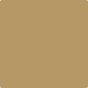1098-Toasted: Almond  a paint color by Benjamin Moore avaiable at Clement's Paint in Austin, TX.