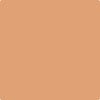 110-Starfish:  a paint color by Benjamin Moore avaiable at Clement's Paint in Austin, TX.