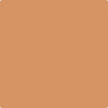 111-Rio: Rancho Clay  a paint color by Benjamin Moore avaiable at Clement's Paint in Austin, TX.