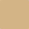 1110-Tawny: Bisque  a paint color by Benjamin Moore avaiable at Clement's Paint in Austin, TX.