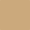 1117-Guesthouse:  a paint color by Benjamin Moore avaiable at Clement's Paint in Austin, TX.