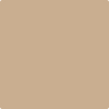 1123-Palm: Desert Sand  a paint color by Benjamin Moore avaiable at Clement's Paint in Austin, TX.