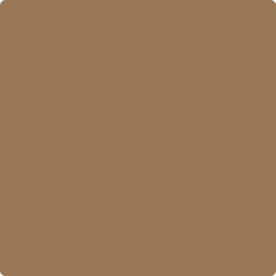 1125-Acorn:  a paint color by Benjamin Moore avaiable at Clement's Paint in Austin, TX.