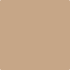 1130-Cafe: Royal  a paint color by Benjamin Moore avaiable at Clement's Paint in Austin, TX.