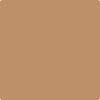 1139-Harbour: Highlands Tan  a paint color by Benjamin Moore avaiable at Clement's Paint in Austin, TX.