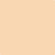 115-Peach: Complexion  a paint color by Benjamin Moore avaiable at Clement's Paint in Austin, TX.