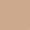 1153-Dearborn: Tan  a paint color by Benjamin Moore avaiable at Clement's Paint in Austin, TX.