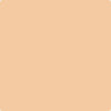 116-Crestwood: Tan  a paint color by Benjamin Moore avaiable at Clement's Paint in Austin, TX.