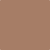 1161-Birchwood:  a paint color by Benjamin Moore avaiable at Clement's Paint in Austin, TX.