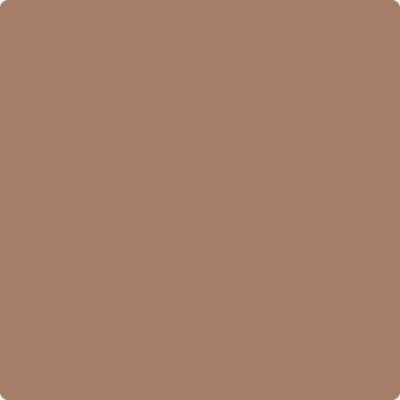 1161-Birchwood:  a paint color by Benjamin Moore avaiable at Clement's Paint in Austin, TX.