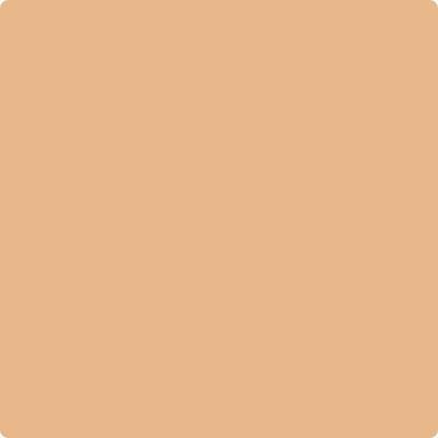 117-Persian: Melon  a paint color by Benjamin Moore avaiable at Clement's Paint in Austin, TX.